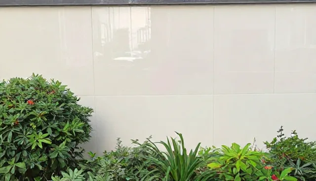 软件开发常见问题中的选型关注点分析